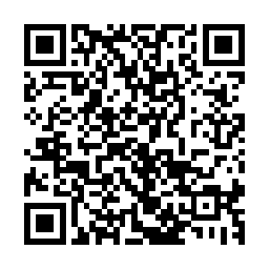 苏落这是真的把这么多人阶法宝全部塞进战神傀儡的嘴里去了二维码生成