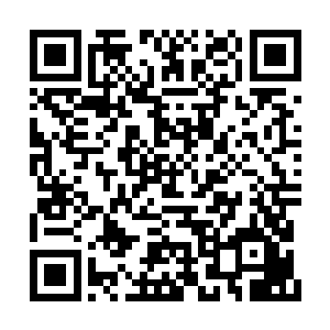 苏谯和遂安的两大龙头项目都是陆为民一手牵线二维码生成