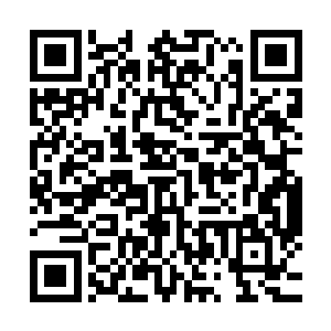 苏道长看了眼地面上的那个手持的无线遥控装置笑了笑后又说二维码生成