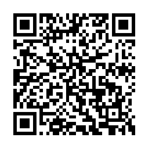 苏阮阮有种将小茹珊塞回肚子里重新打造的冲动二维码生成