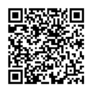 苏阮阮没料到郁晨竟真的当着这么多人的面将她的二维码生成