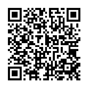 苏青黛在电视台记者的最后一次采访中说了这样的话二维码生成