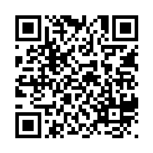 苗坤生也不会舍下老婆孩子和她结婚了二维码生成