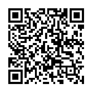 苗坤生的小姨子老婆虽然知道自己男人遇到难事了二维码生成