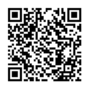 苗毅估计小世界的驯龙鞭就是从大世界流传过去的二维码生成