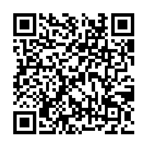 苗毅捧起那只蓝凤凰抱着不放的椭圆形物体看了看二维码生成