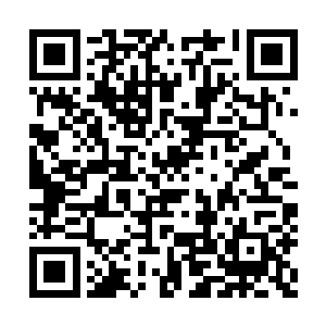 苗毅趁机到处把小家伙们当做种子播种进积雪里二维码生成