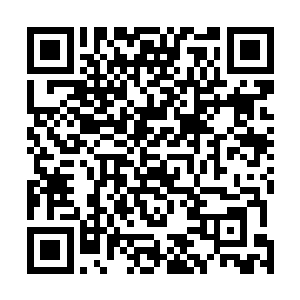 苗苗的一句话差点使得丁二狗吧刚刚喝进去的水都喷出来二维码生成