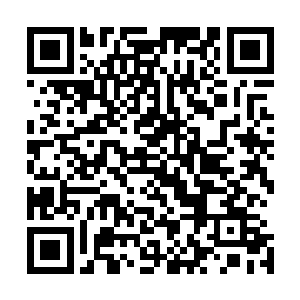 若不为生死存亡做打算他们也不会接受穆凡君等人成为圣主二维码生成