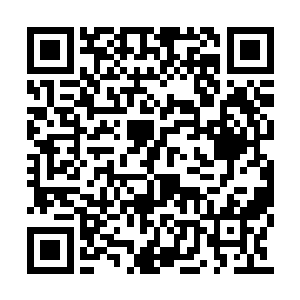 若不是手上空荡荡的触感让杨开明白这并非错觉二维码生成