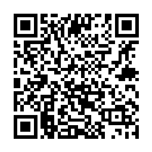 若不是挖进来知道了这东西的硬度不同于四周的石头二维码生成