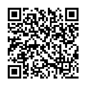 若不是秦方有侦查技能可以侦测出他们的身份的话二维码生成