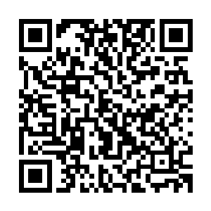 若不是那一层不变的僵尸脸让她感到格外熟悉她还真的没认出来二维码生成