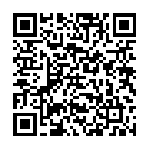 若他们还能够发挥精灵诸分支相互协作的战斗模式二维码生成