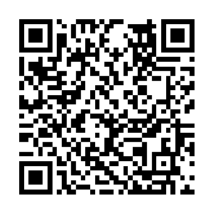 若他早知这龙刃将领就是那素有威猛之名的小伏波二维码生成