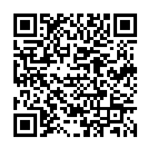 若对手单枪匹马或者实力差几乎都是各打各的猎物二维码生成