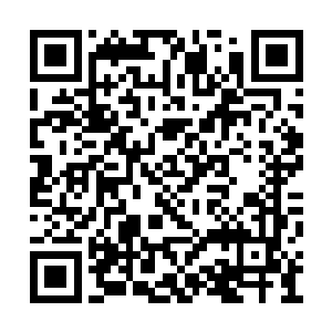 若教本大王查出是哪个不要脸的家伙写了这本书二维码生成