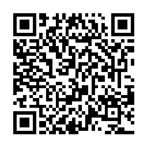 若是今次这个杜同霁在外头置了外室没被人举报出来二维码生成