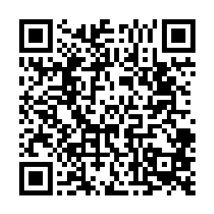 若是他不识相的话就让他见识一下我万毒宗的毒功的厉害二维码生成