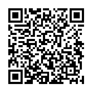 若是他在过短的时间内获得了自身所无法掌握的强大力量二维码生成