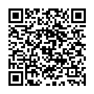 若是以后容华公主反悔了而导致定王府有什么损失二维码生成