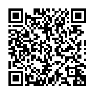 若是再加上杀手之王血河的话……胜负之数只怕得反过来计算二维码生成