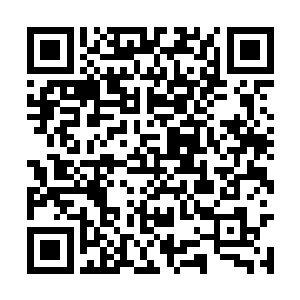 若是去的时候能够让白子河看上一姑娘也是不错的二维码生成