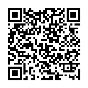 若是四肢之类的崩坏了也能依靠自身再生修复出来二维码生成