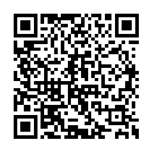 若是因为给人骗过和偏执的不选择再去试着相信二维码生成