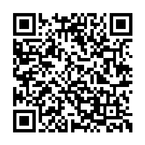 若是在这样一个半个人影都没有的杀神秘境之中二维码生成