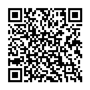 若是我们魔界修士哪怕只有你们人族一半的聪慧二维码生成