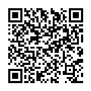 若是我没有得意洋洋的在五府争霸前用出紫幻之瞳二维码生成