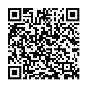 若是换一张更美的容颜反而会破坏了这一份气质二维码生成