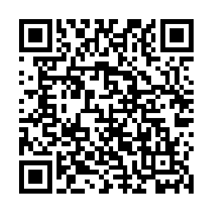 若是早知纳兰昀的身边竟是隐藏着如此一群强悍的暗卫二维码生成