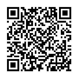 若是某个愣头青半神跑去斩杀了她的爱宠九头龙二维码生成