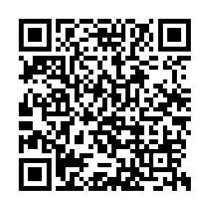 若是死在这里师门之中也会有人来帮我们报仇的二维码生成