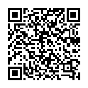 若是用上自己农场空间里的蕴含灵气的食材制作出来二维码生成