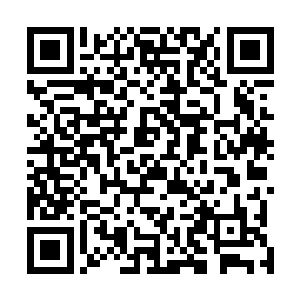 若是真的是天材地宝的话他们也绝对不敢有什么别的想法二维码生成