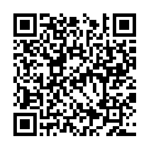 若是等到我修炼到婴变期大圆满你们还是这点修为二维码生成