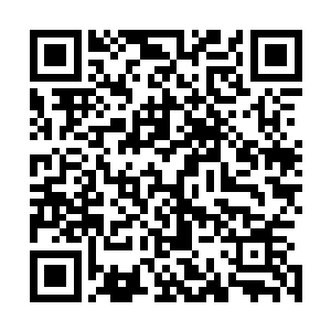 若是细看便会发现这四人小队皆是大罗金神巅峰层次的高手二维码生成