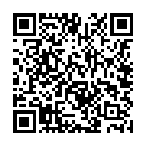 若是给他足够的时间肯定能够进阶到至尊鼎峰的水平二维码生成