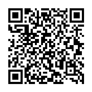 若是能够申请下来几百万上千万美元的经费尝试登顶二维码生成