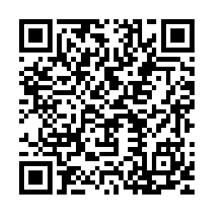 若是让我在信息对等的前提下与这个级别的npc来一场公平对决二维码生成