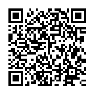 若是输了都算他秦方的……自从上一次和秦方合作大赚了一点二维码生成