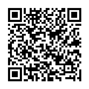 若是雪灵知道她忠诚的男配会因为一个女人的惊艳容貌二维码生成