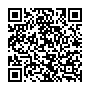 若是雷克斯把自己手里现有的一千万筹码全都押在17点上的话二维码生成