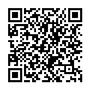若是龙傲天想要抢夺自己的法宝的话根本就不用如此的麻烦二维码生成