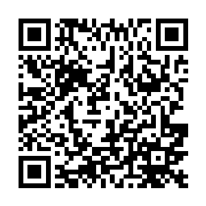 若是龙傲天真的要杀死他的话根本就没有必要如此的嗦二维码生成