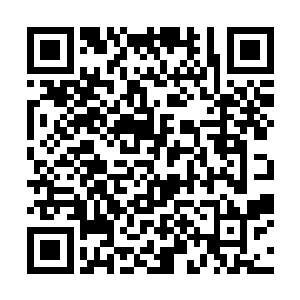 若曦身上的气息直接飙升到了脱胎顶峰的恐怖的境界二维码生成