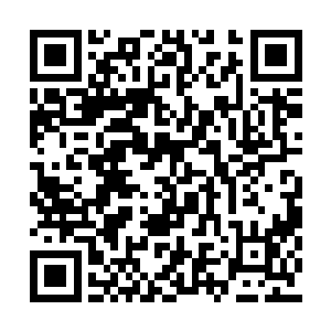 若有朝一日他能将金圣龙本源之力全面发挥出来二维码生成